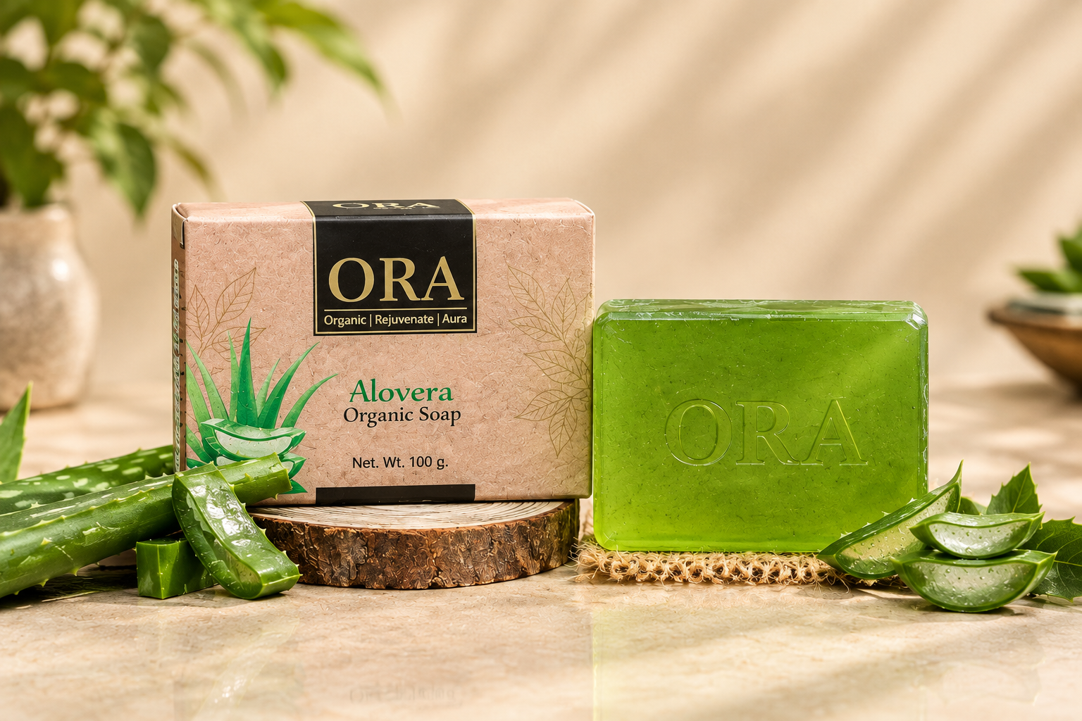 Home Aloe Vera Photo 2